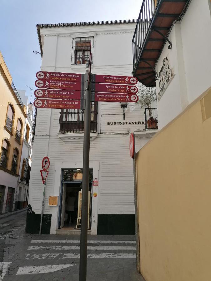 Appartement Casita Bustos Tavera *